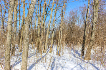 Beautiful winter landscape at the ravine