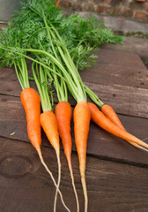 Fresh carrots with leaves on rustic wooden background. Selective focus