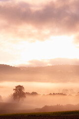 Fototapeta na wymiar Layers of fog and trees at sunrise.