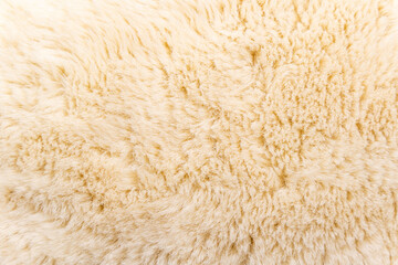 White wool texture background, light natural sheep wool, white seamless cotton, texture of fluffy fur for designers, close-up fragment white wool carpet