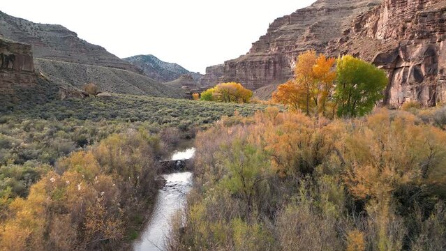Flying through Nine Mile Canyon over creek with Fall color in the Utah desert.
