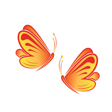 Bright tropical butterflies vector isolated on a white. Decorative butterfly elements.