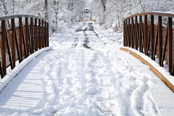 Snowy path in winter