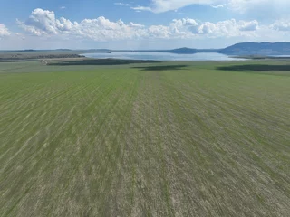 Fototapeten Khaki field of wheat  © Baha