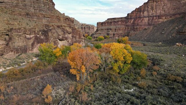 Aerial view of Nine Mile Canyon with colorful Fall foliage flying over the tree tops.