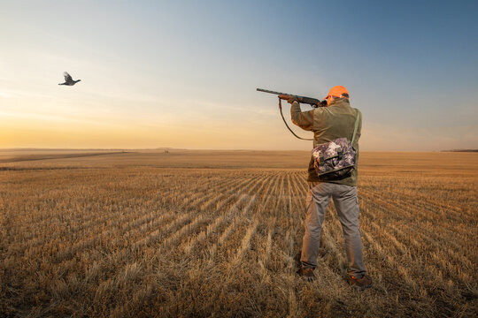 hunter with rifle gun in autumn season. hunter hunting on bird.