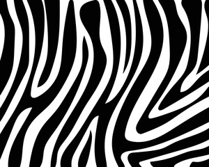 Obraz premium seamless zebra skin background. vector eps10