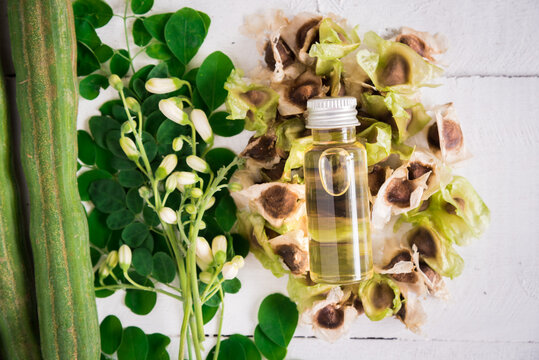 Moringa Oil and seeds, The seeds of the Moringa tree are pressed oil known as Ben Oil yellow