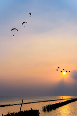 silhouette flying birds and paramotor over sea and sunset sky