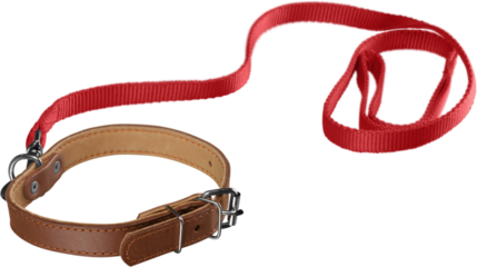 Dog Collar with Leash Isolated