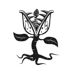 Carnivorous Plant PNG Format With Transparent Background © FITRIAH