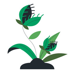 Carnivorous Plant PNG Format With Transparent Background