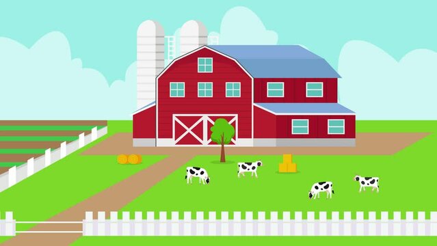 Flock of cow in the livestock with red barn