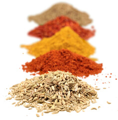 Ground spices spice isolated spices variety of spices close-up herb