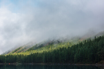 Fototapeta na wymiar Tranquil misty meditative scenery of glacial lake with forest hill under thick low clouds. Coniferous trees on hillside reflected in calm alpine lake. Mountain lake and dense fog at early morning.