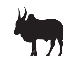 Indian ox with horns silhouette vector isolated. Ongole cattle breed. Bull with large horns.