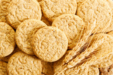 Closeup of a group of oatmeal cookies.