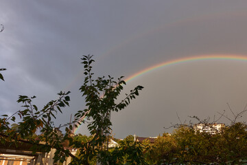 Double rainbow over the city. Dense vegetation around. Grey-purple sky. The second rainbow is barely visible.