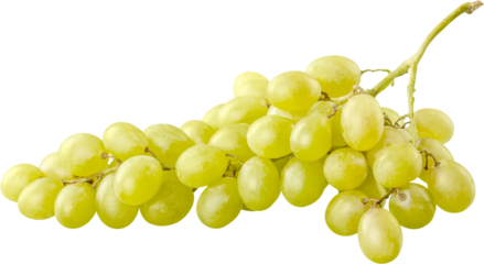 White grapes, Isolated on white background
