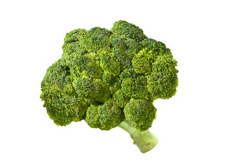 broccoli isolated on white background             