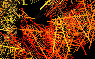 Dark Pink, Red vector doodle template with flowers, leaves.