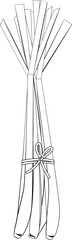 Lemon Grass Leaf Drawing Line