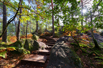 Wooden steps to prevent erosion in the Apremont gorges