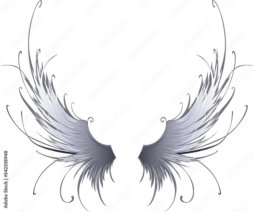 Wall mural angel wings