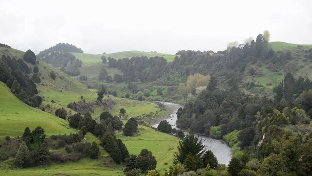 Small river flowing through lush countryside in the mountainous regions of New Zealand's north Island