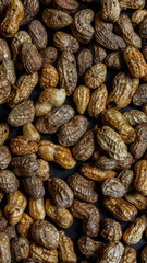 Peanut in a shell texture. food background of peanuts