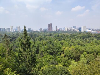 Fototapeta premium Mexico City, modern capitals with park forests and buildings