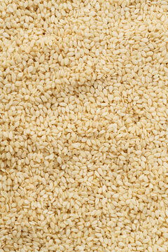 seasoning background close-up