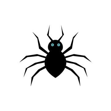 linear of Spider isolated on white background. Vector illustration.	