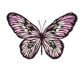 Artistic butterfly, brush and paint texture. Vector illustration