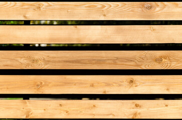 The background is made of light wooden horizontal boards.