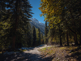 journey by Irkis valley, Arkhyz, Karachay-Cherkessia, North Caucasus. snowy mountain valley with blue sky and clouds and beautiful forest near river Psysh, Caucasus nature reserve. Alpine landscape.