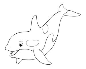 Killer Whale Cartoon Animal Illustration BW