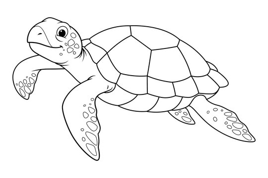 Sea Turtle Cartoon Animal Illustration BW