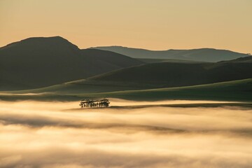 Beautiful shot of mountains and fog covering fields and trees in Overberg at a sunset