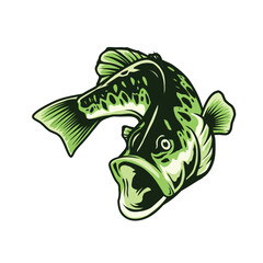 largemouth bass fish illustration - obrazy, fototapety, plakaty