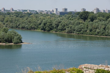 Fototapeta premium Seabirds resting at the confluence of the Danube and Sava rivers and the magnificent nature of Belgrade