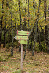 first autumn colors in Rascafria in the mountains of Guadarrama, Madrid