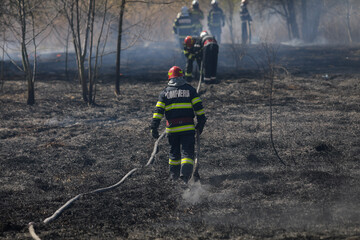 Naklejka premium Firefighters try to extinguish a wildfire of vegetation in the Vacaresti park nature reserve.