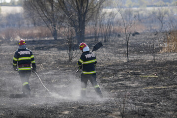 Firefighters try to extinguish a wildfire of vegetation in the Vacaresti park nature reserve.