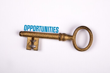 Opportunities concept. Gilded key and text on a white background