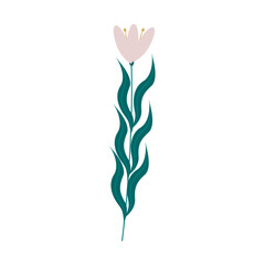Snowdrop flower. Flowers and plants. Vector illustration in flat style.