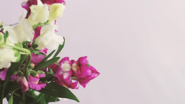Video of colors in the corner of the screen. Flower video screensaver.