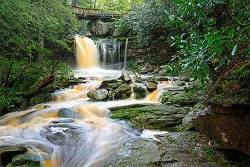 Amber water of Shay Run - Elakala Falls - West Virginia