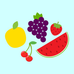 Vector set of fruit illustrations