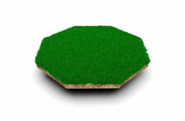 3d rendering of the patch of grass in the form of octagon isolated on white background